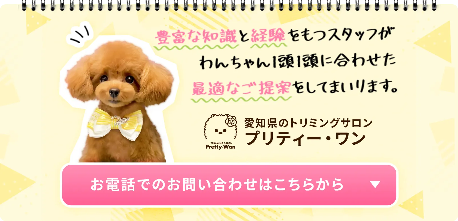 豊富な知識と経験をもつスタッフがわんちゃん1頭1頭に合わせた適切なご提案をしてまいります。