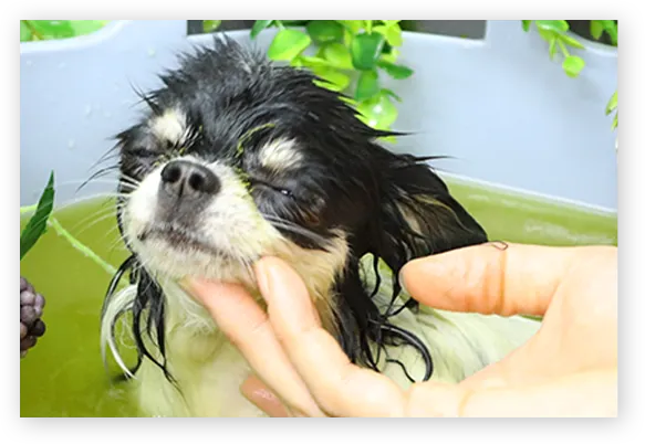 ストレスを抑えた環境づくりイメージ