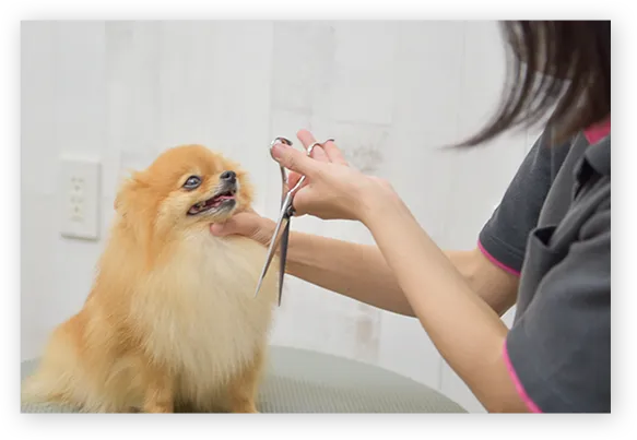 常に進化するトリミング技術