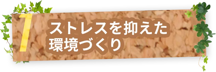 ストレスを抑えた環境づくり