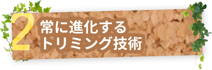 常に進化するトリミング技術