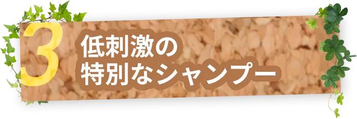 低刺激の特別なシャンプー