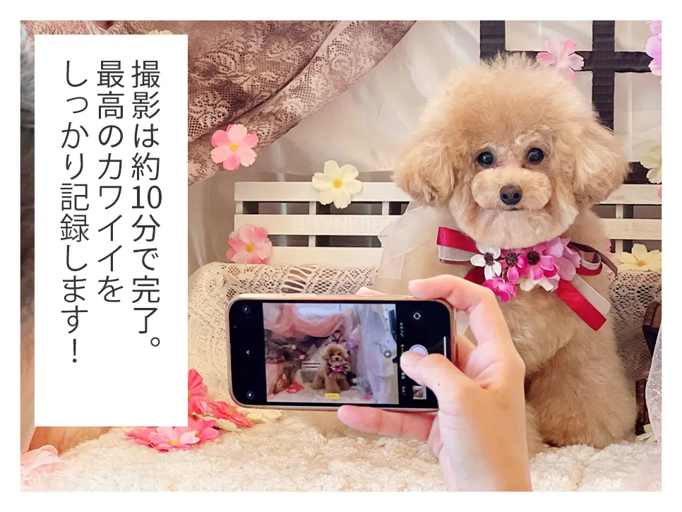 撮影は約10分で完了。最高のカワイイをしっかり記録します!