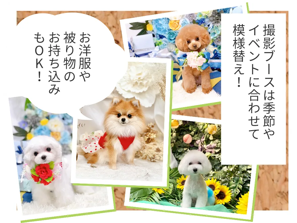 撮影ブースは季節やイベントに合わせて模様替え! お洋服や被り物のお持ち込みもOK!