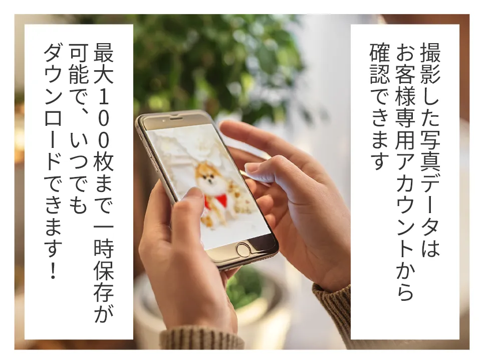 撮影した写真データはお客様専用アカウントから確認できます 最大100枚まで一時保存が可能で、いつでもダウンロードできます!