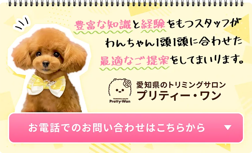 豊富な知識と経験をもつスタッフがわんちゃん1頭1頭に合わせた適切なご提案をしてまいります。