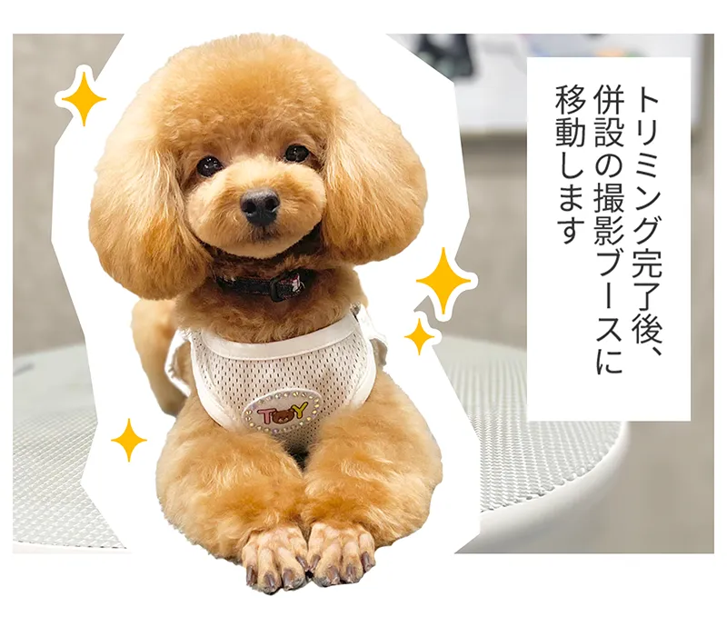 トリミング完了後、併設の撮影ブースに移動します