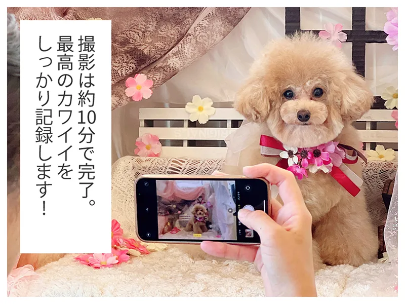 撮影は約10分で完了。最高のカワイイをしっかり記録します！