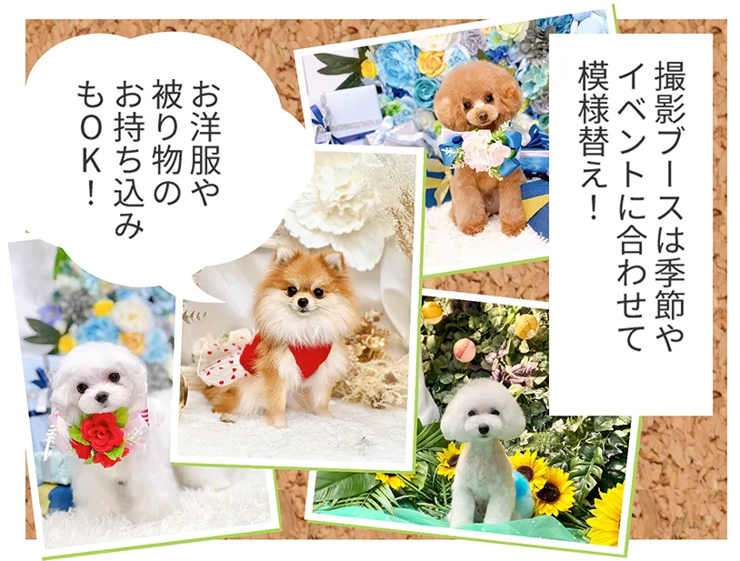 撮影ブースは季節やイベントに合わせて模様替え！ お洋服や被り物のお持ち込みもOK！